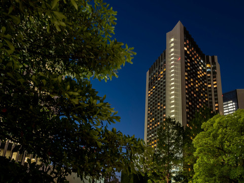 东京全日空洲际酒店主图