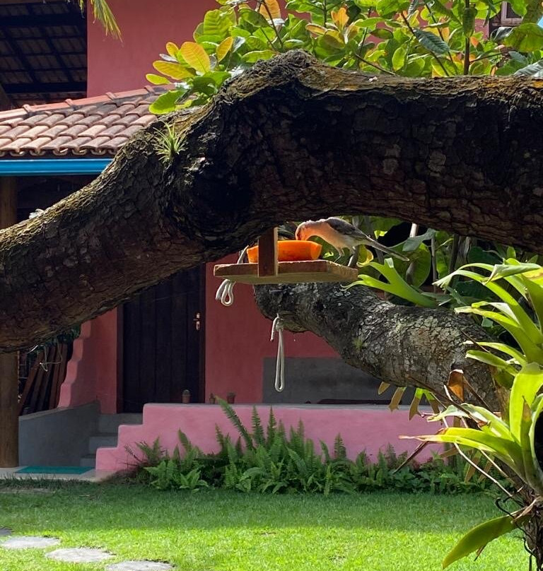 Caraiva Guesthouse主图