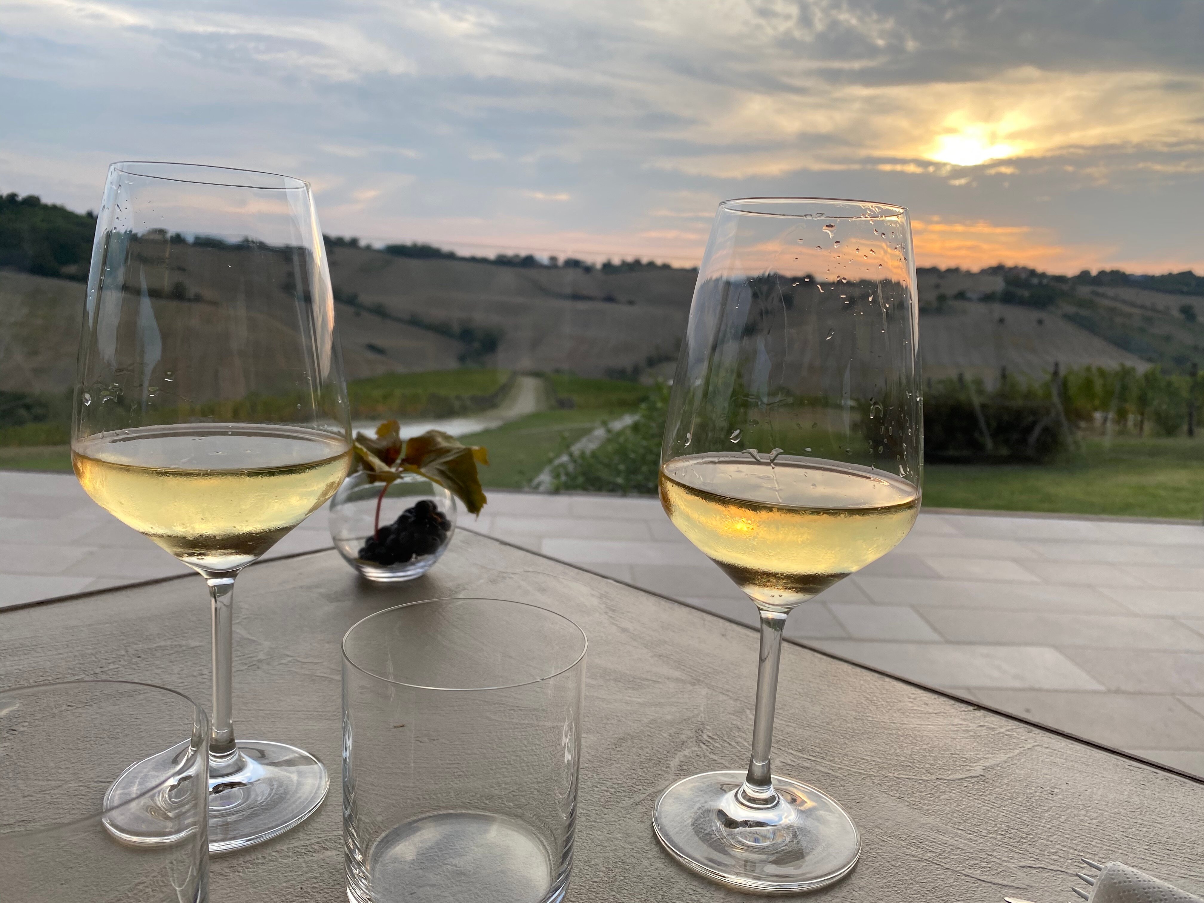 Filodivino Wine Resort & SPA-餐饮
