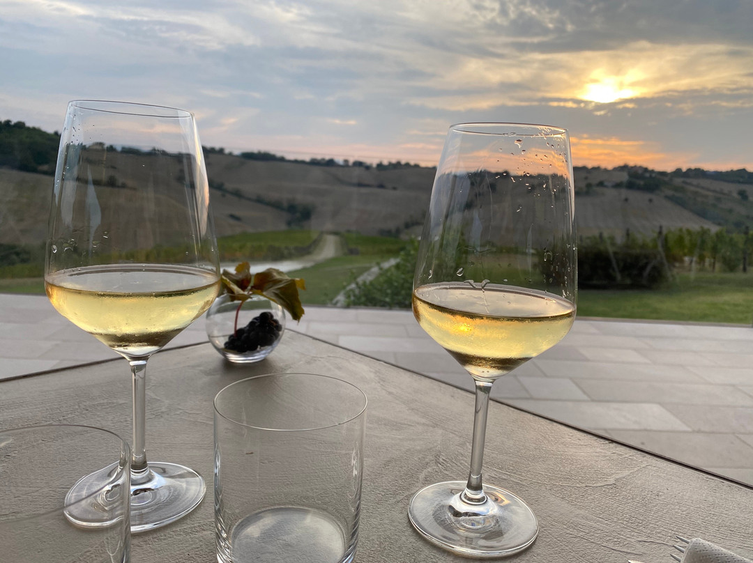 Filodivino Wine Resort & SPA主图