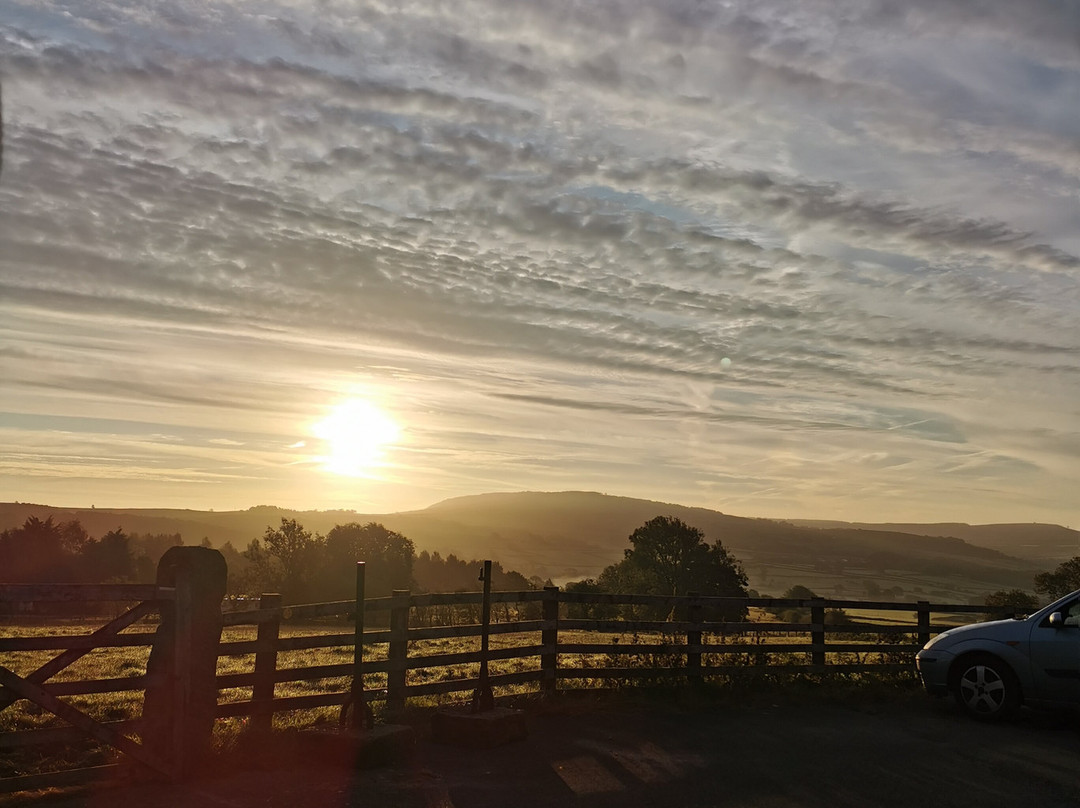 Pickersgill Manor Farm Bed and Breakfast主图