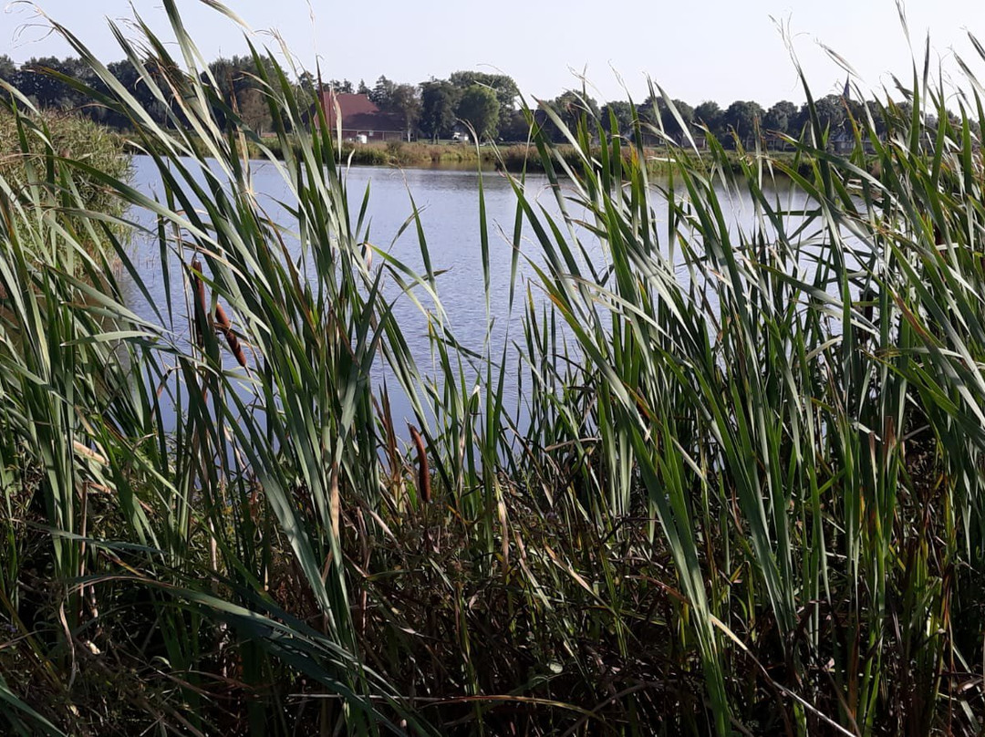 National Park De Alde Faenen景点图片