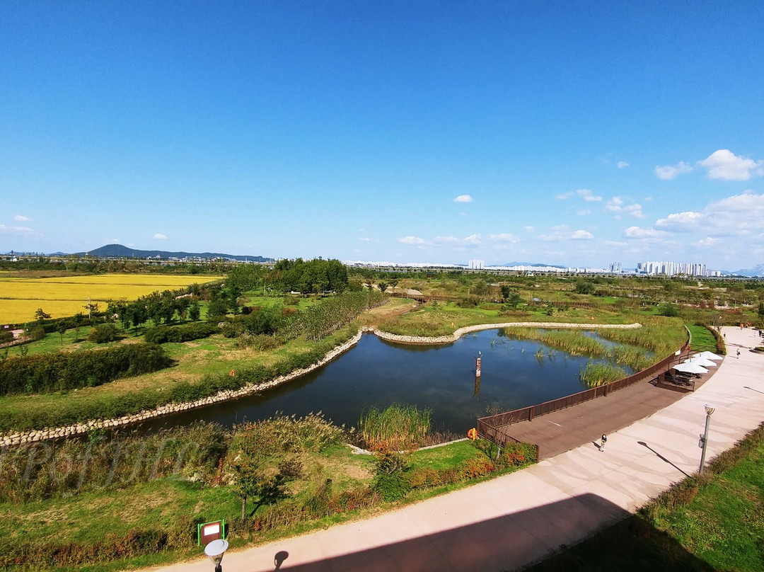 Gimpo Han River Wild Bird Ecology Park-金浦市必去景点