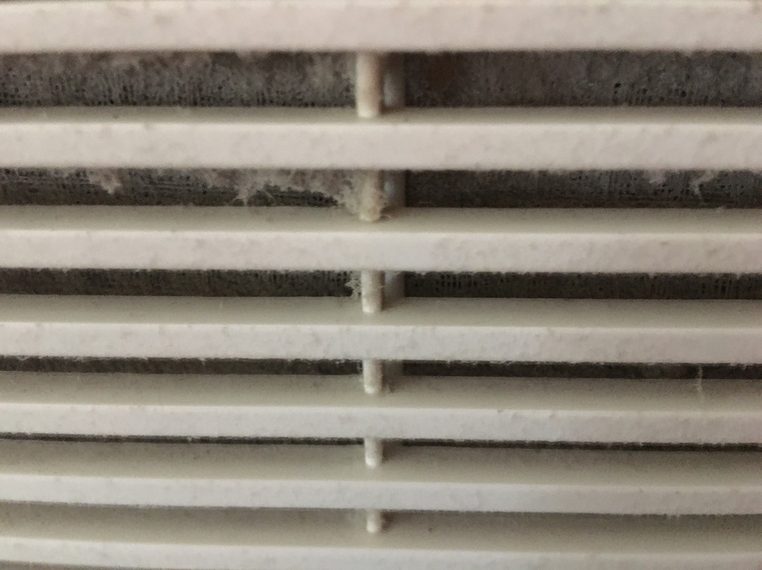 Campbell House主图