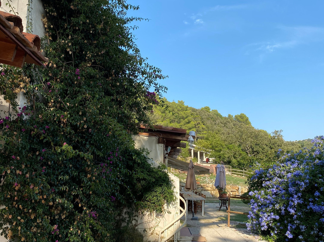 Agriturismo La Mignola主图