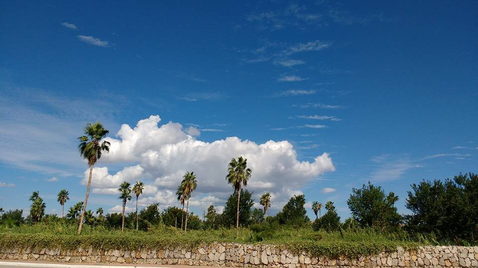 Hotel Posada Senor Manana主图