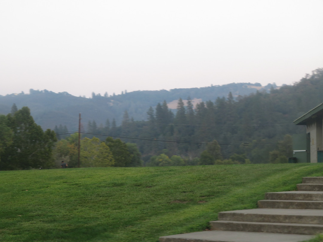 Henningsen Lotus Park-Lotus必去景点