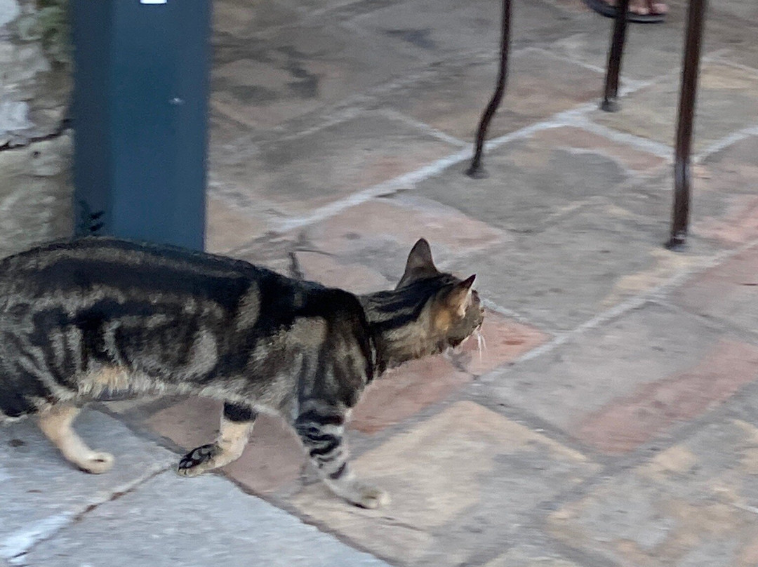 Hotel La Pierrerie主图