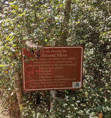 Goleta Butterfly Grove-戈利塔必去景点