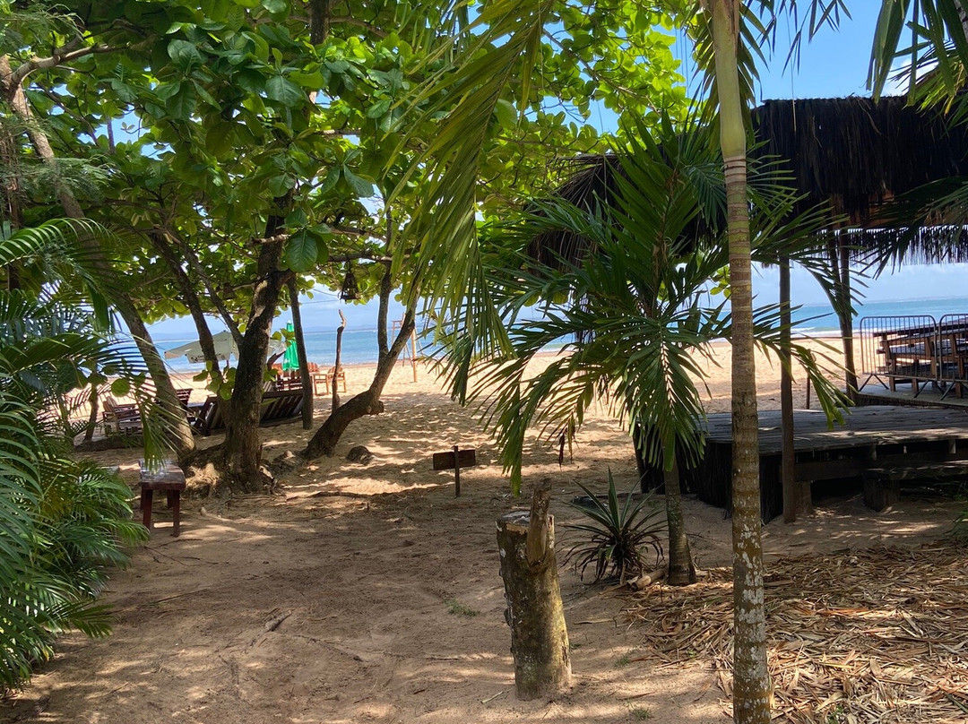 Pousada Raiz Do Mutá主图