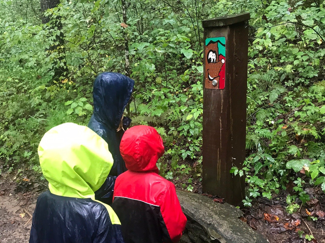 Holmes Educational State Forest-亨德森维尔必去景点