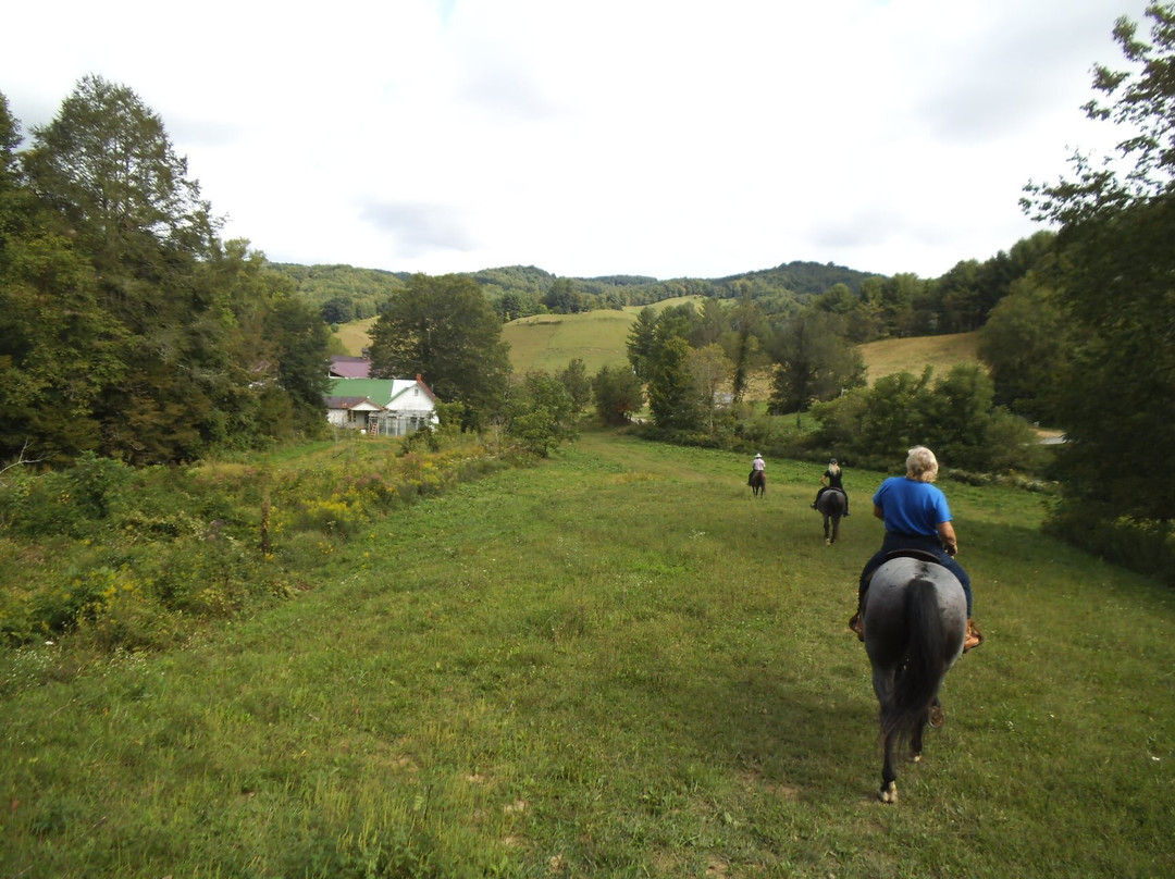 Roan Mountain Riding Company-Roan Mountain必去景点