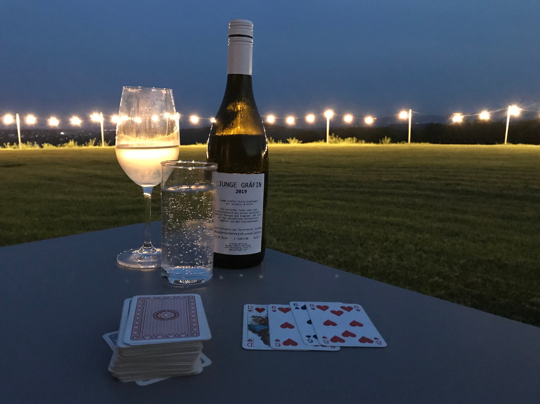 Jaidhof酒店住宿-Weinblick Weingut Grafinger