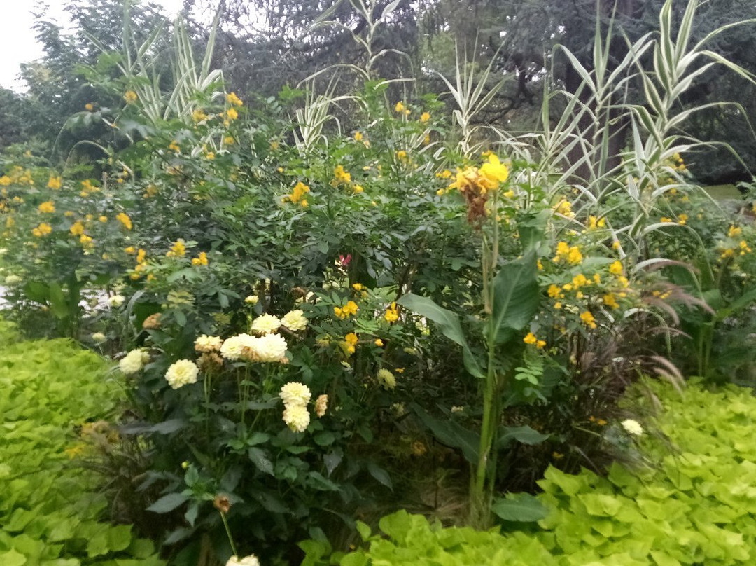 Jardin des Plantes景点图片