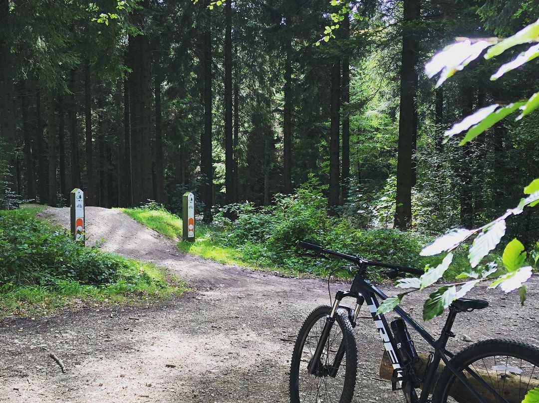 Dalby Forest Cycle Hub景点图片