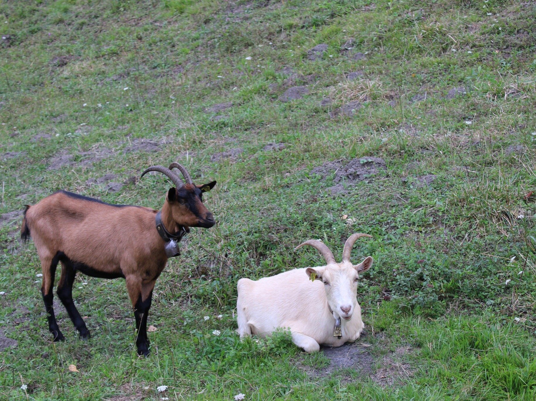 Base de Loisirs des Ilettes-萨朗什必去景点