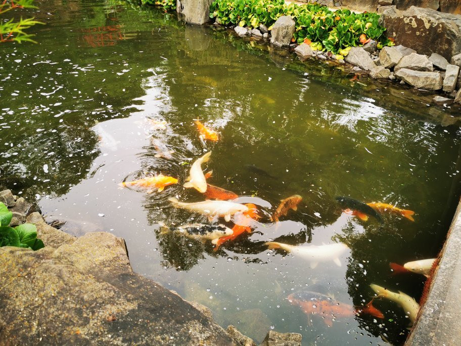 Japanischer Garten景点图片