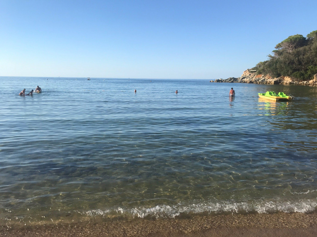 Spiaggia di Spartaia-Procchio必去景点