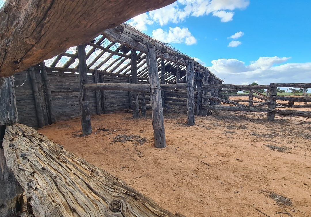 Mungo Loop Track景点图片