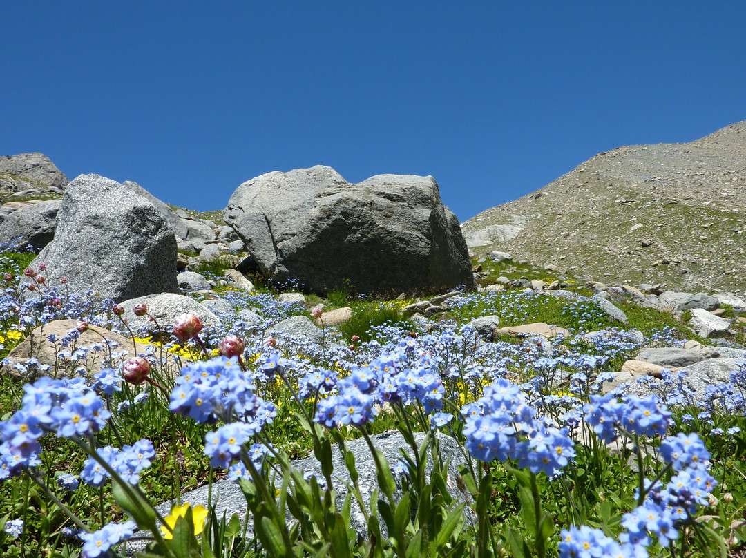 Valle di Sasso Bisolo景点图片