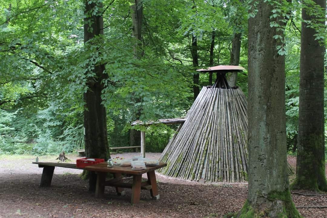 Landhotel am Rothenberg主图