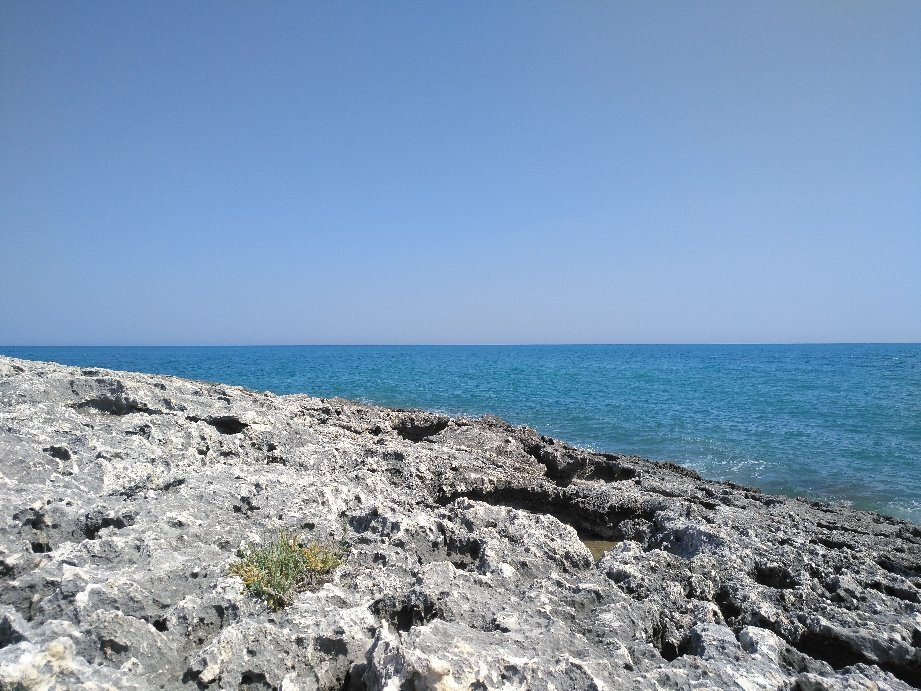 Centro Vacanze Villa Carla主图