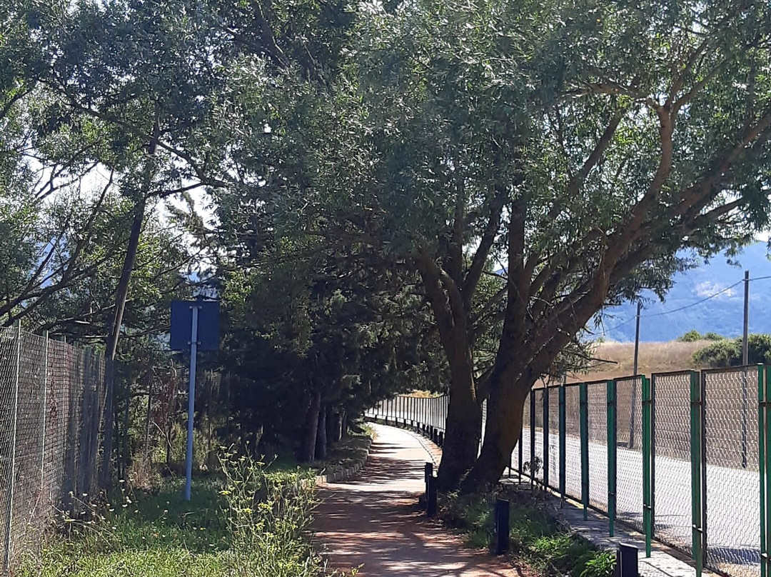 Pantano di Pignola景点图片