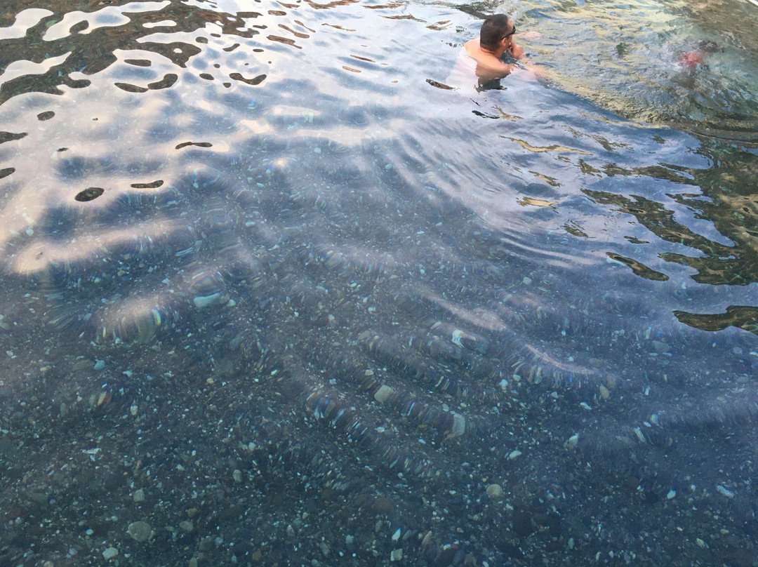 Challis Hot Springs景点图片