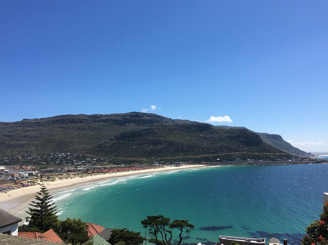 Abington Tours-开普敦中心区必去景点