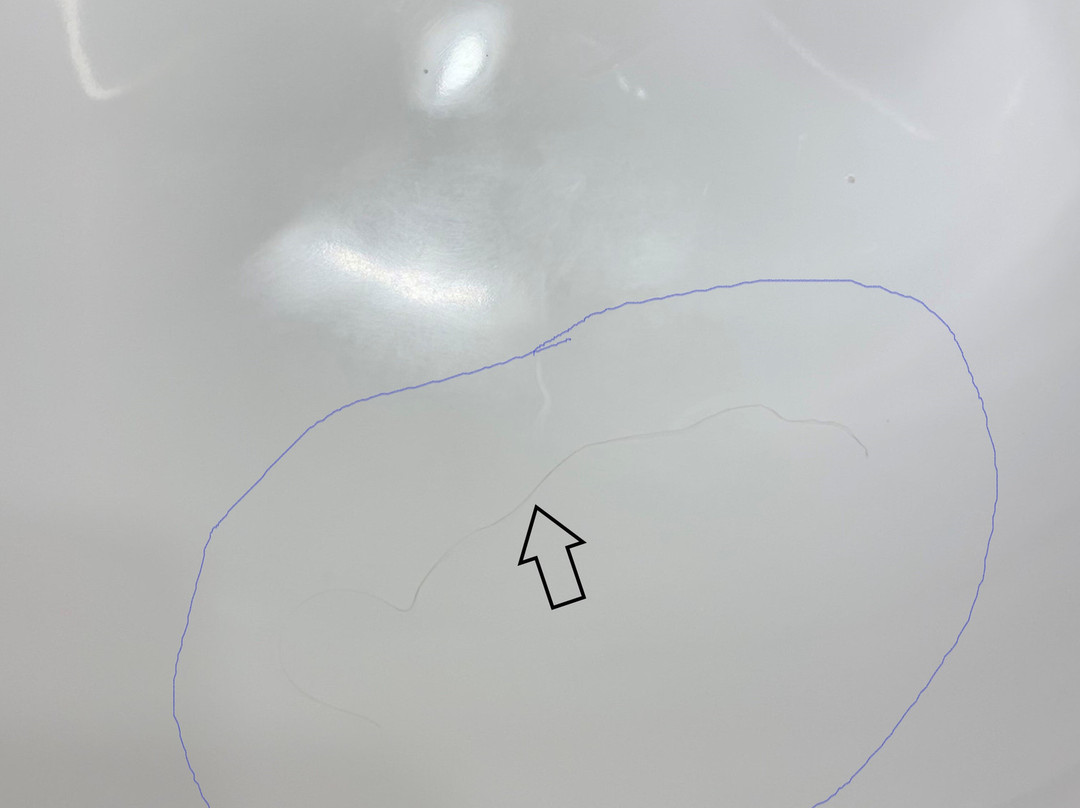 Waypoint Hotel主图