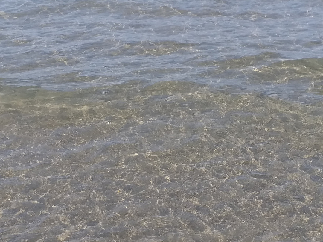 Agriturismo Poggio Tondo主图