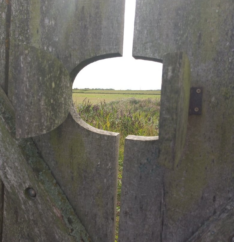 Lincolnshire Coastal Country Park-Anderby Creek必去景点