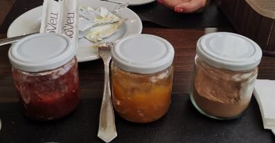 Hotel Spa Acevi Val d'Aran主图