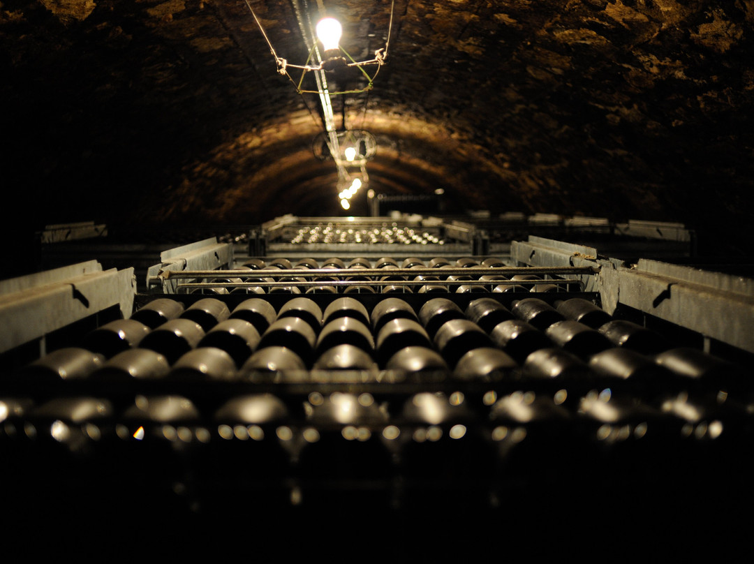 Les Champagnes du Château d'Avize-Avize必去景点