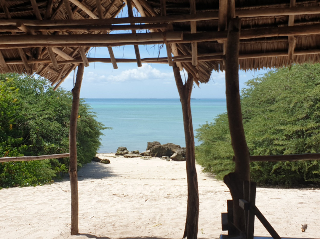 ZanOmar Tour & Safaris Limited-蓬圭必去景点