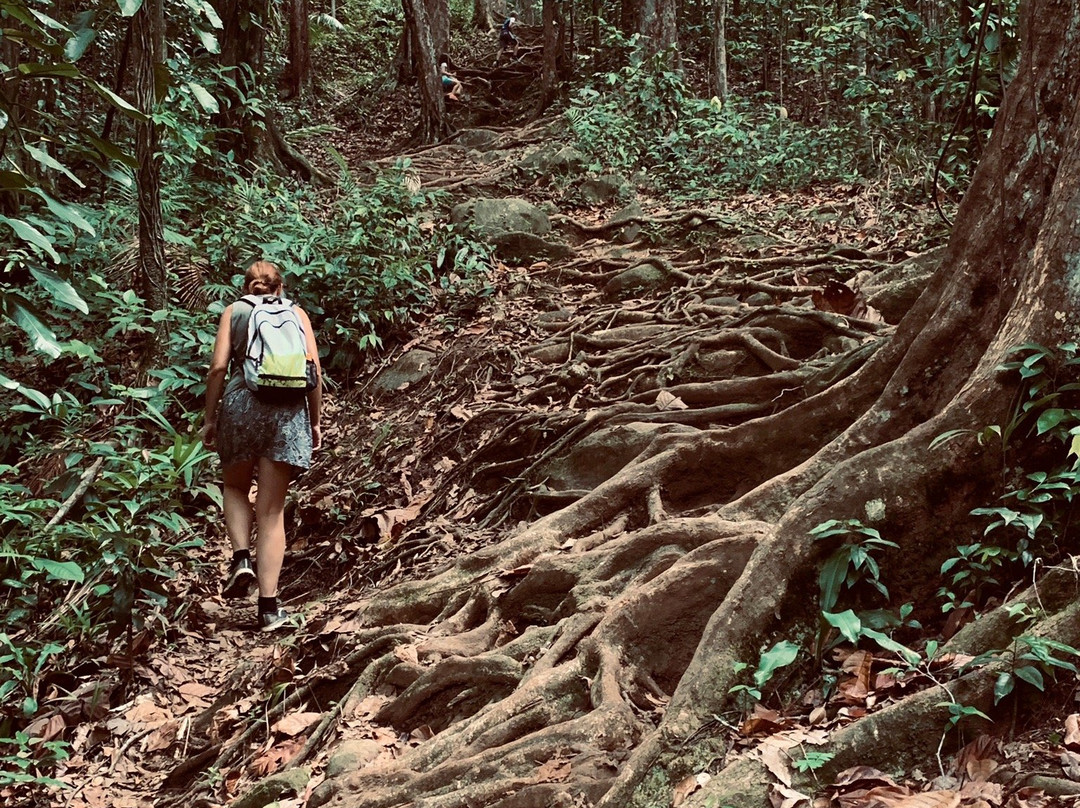 Saut des Trois Cornes-Sainte Rose必去景点