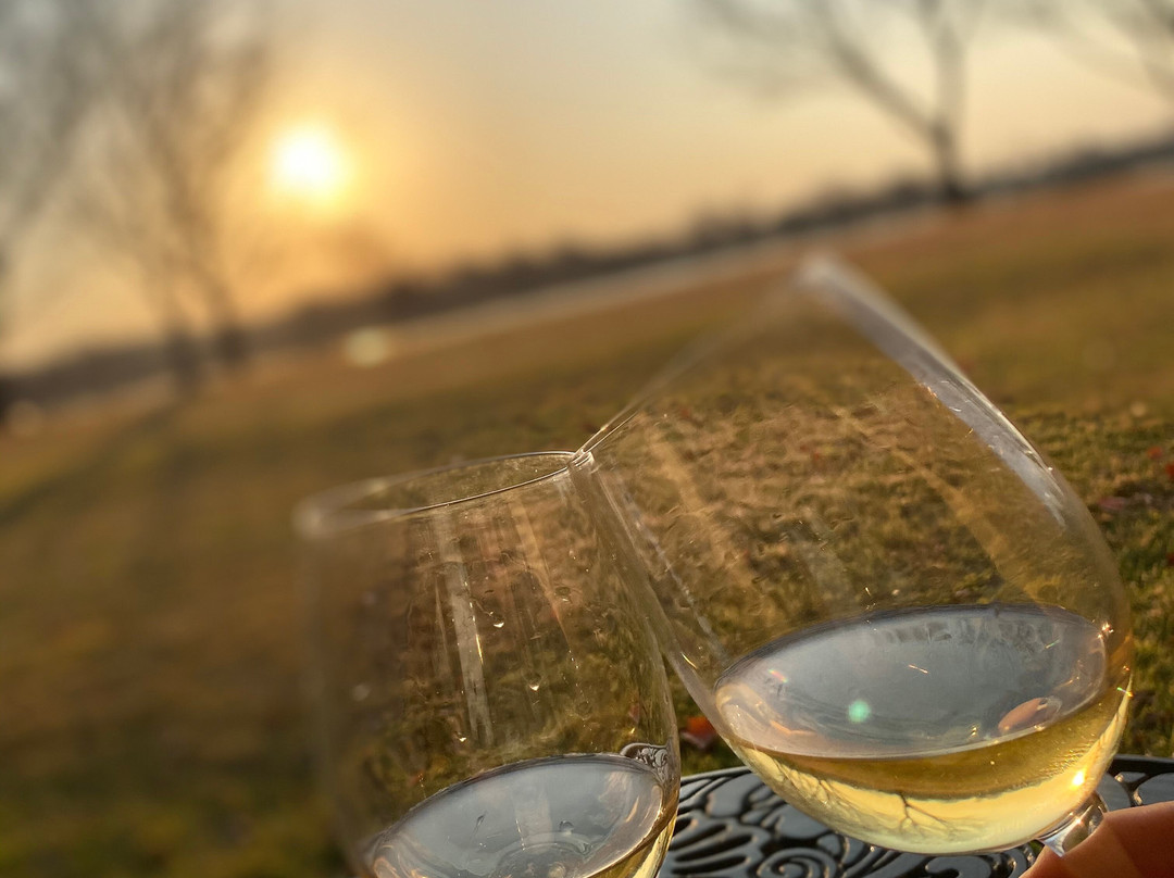 非洲之傲艾琳乡村别墅酒店主图