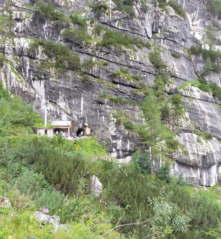 Mammoth Cave-上特劳恩必去景点