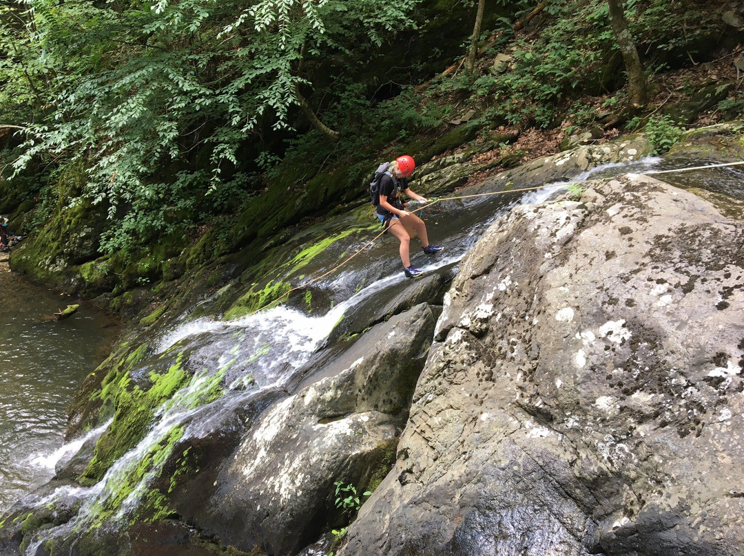 Shenandoah Mountain Guides-雪兰多国家公园必去景点