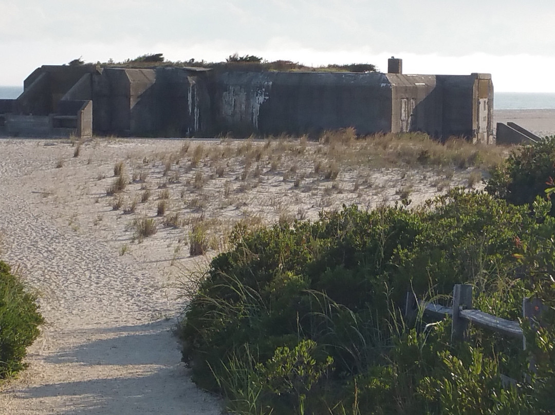 South Cape May Meadows景点图片