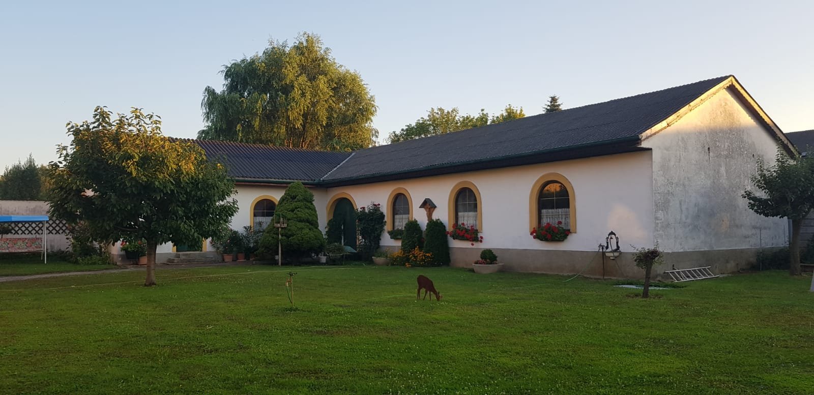 Pension Seepanorama-官方