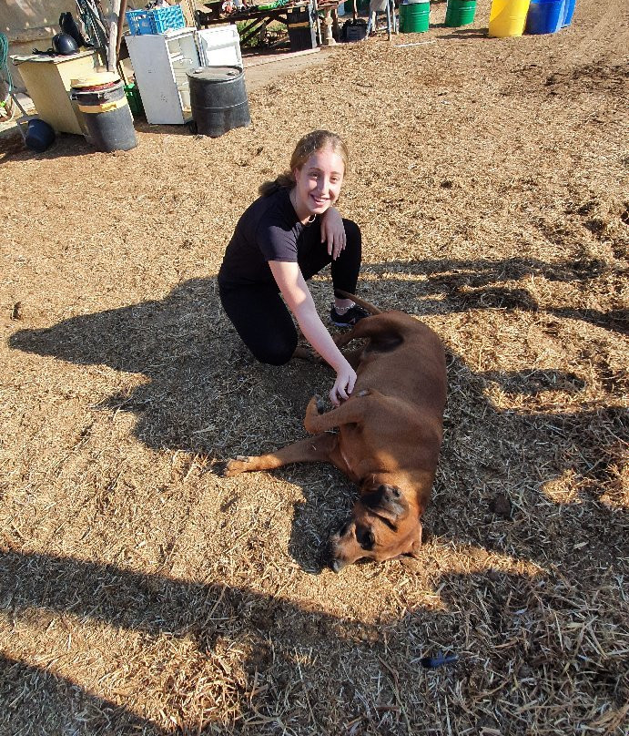 The Alpaca Farm-米茨佩拉蒙必去景点