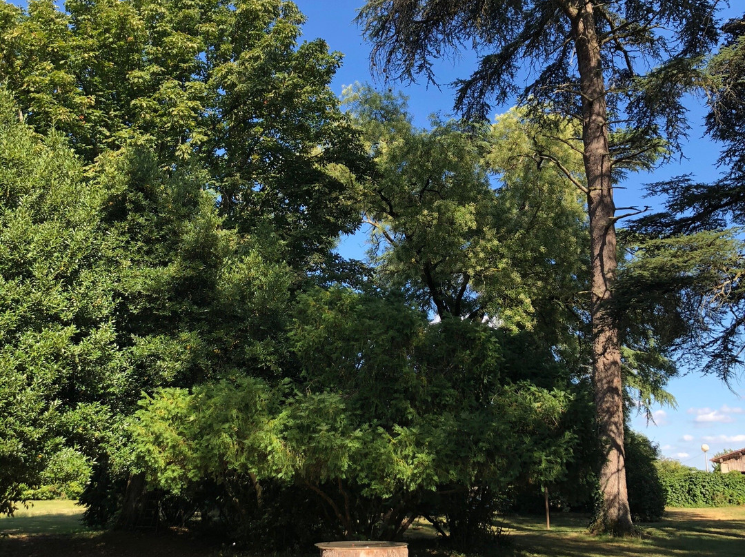 La Maison du Saula主图