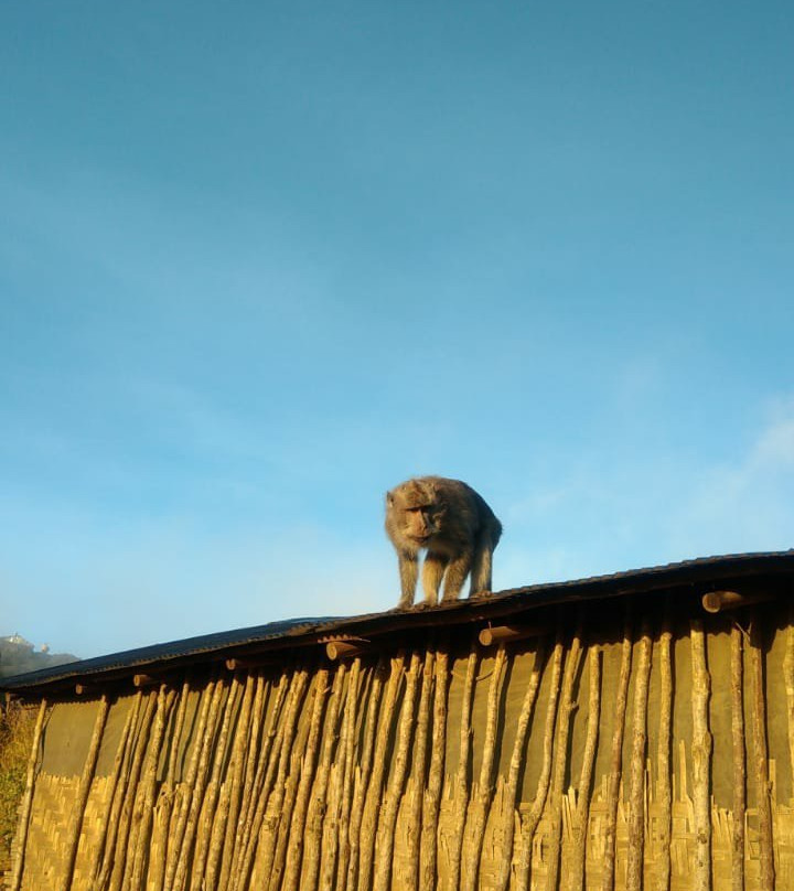 Bali Sunrise Trekking Center-金塔马尼必去景点