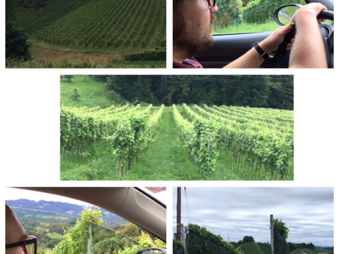 Weingut Masser-洛伊查赫必去景点