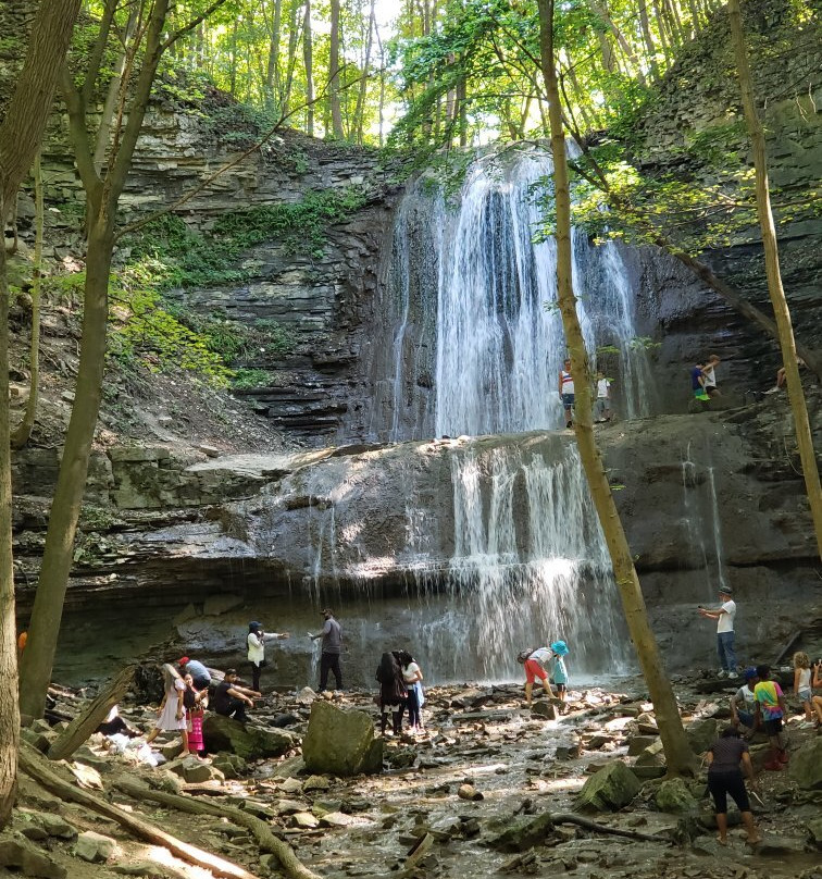 Sherman Falls-汉密尔顿必去景点