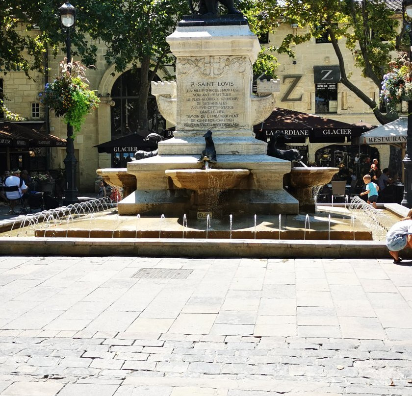 Place Saint Louis景点图片
