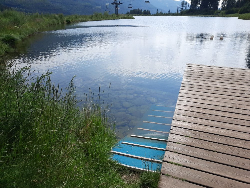 Grüblsee Alpenaquarium-Vordernberg必去景点