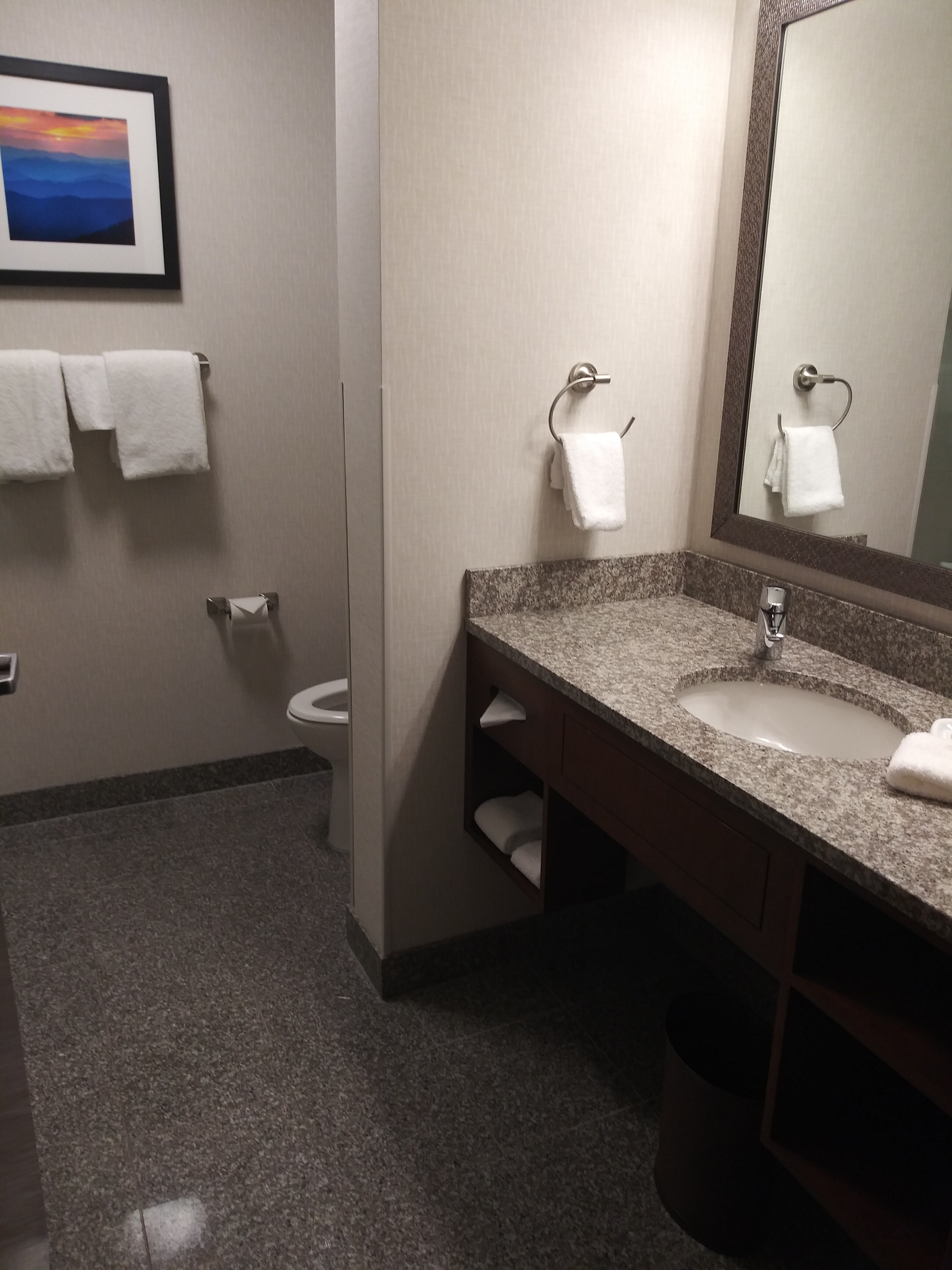 Drury Inn & Suites Knoxville West-浴室