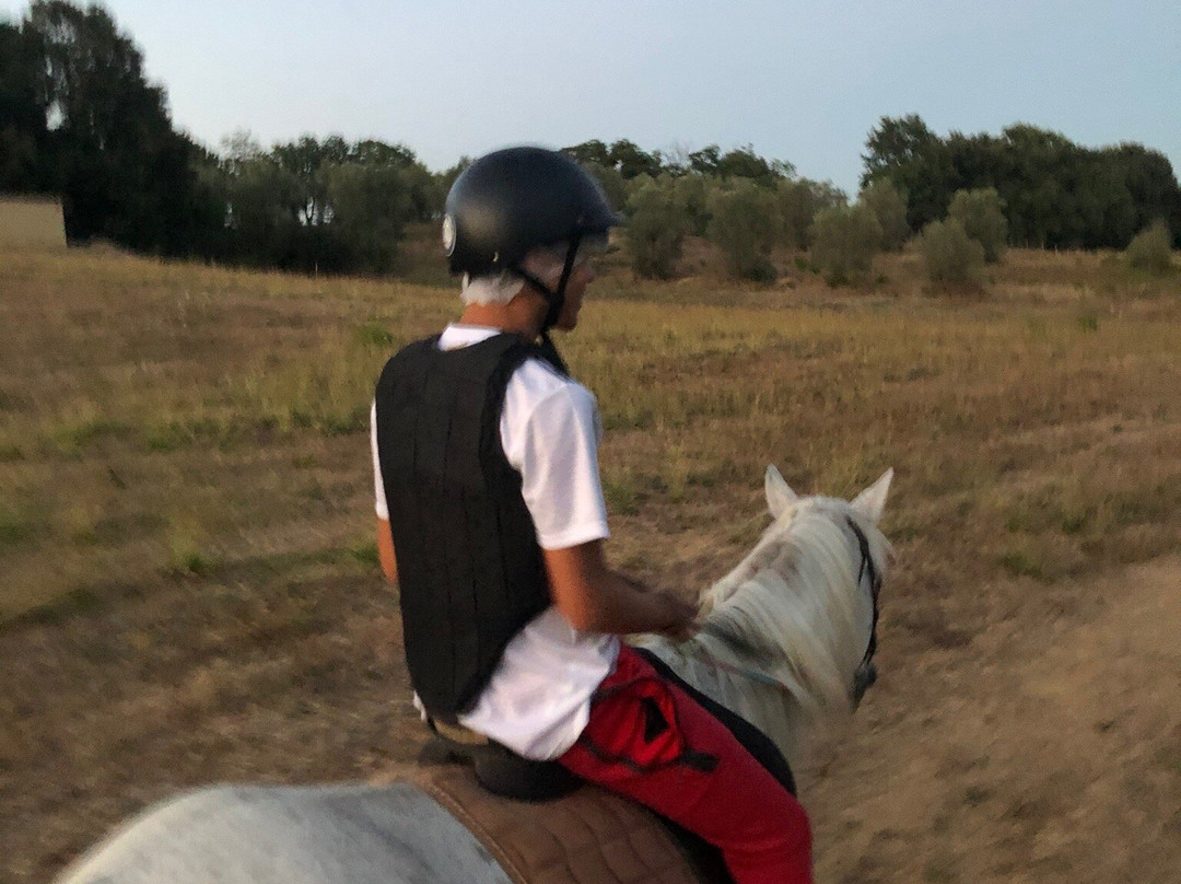 Tuscany Horse Trail景点图片
